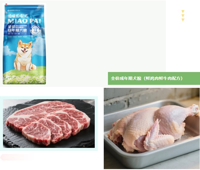 派得宠物