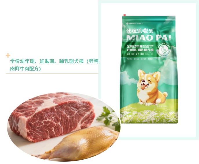 派得宠物