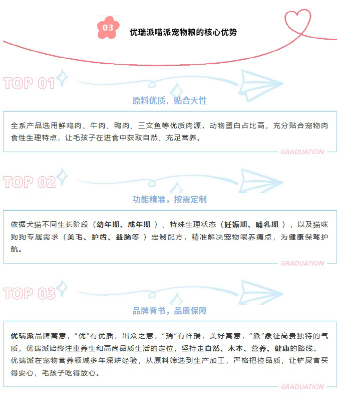 派得宠物