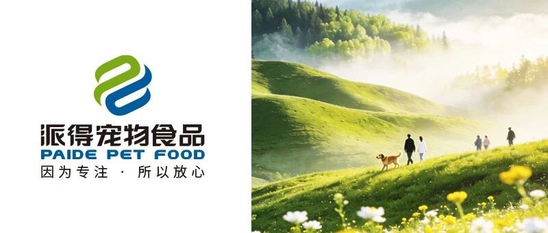 清明节丨岁岁清明 年年安康